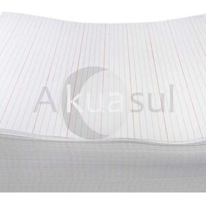 Papel para Electroencefalografo Nihon Khoden NKN244C00HRN EEG 244mm X300 - 1 Paquete